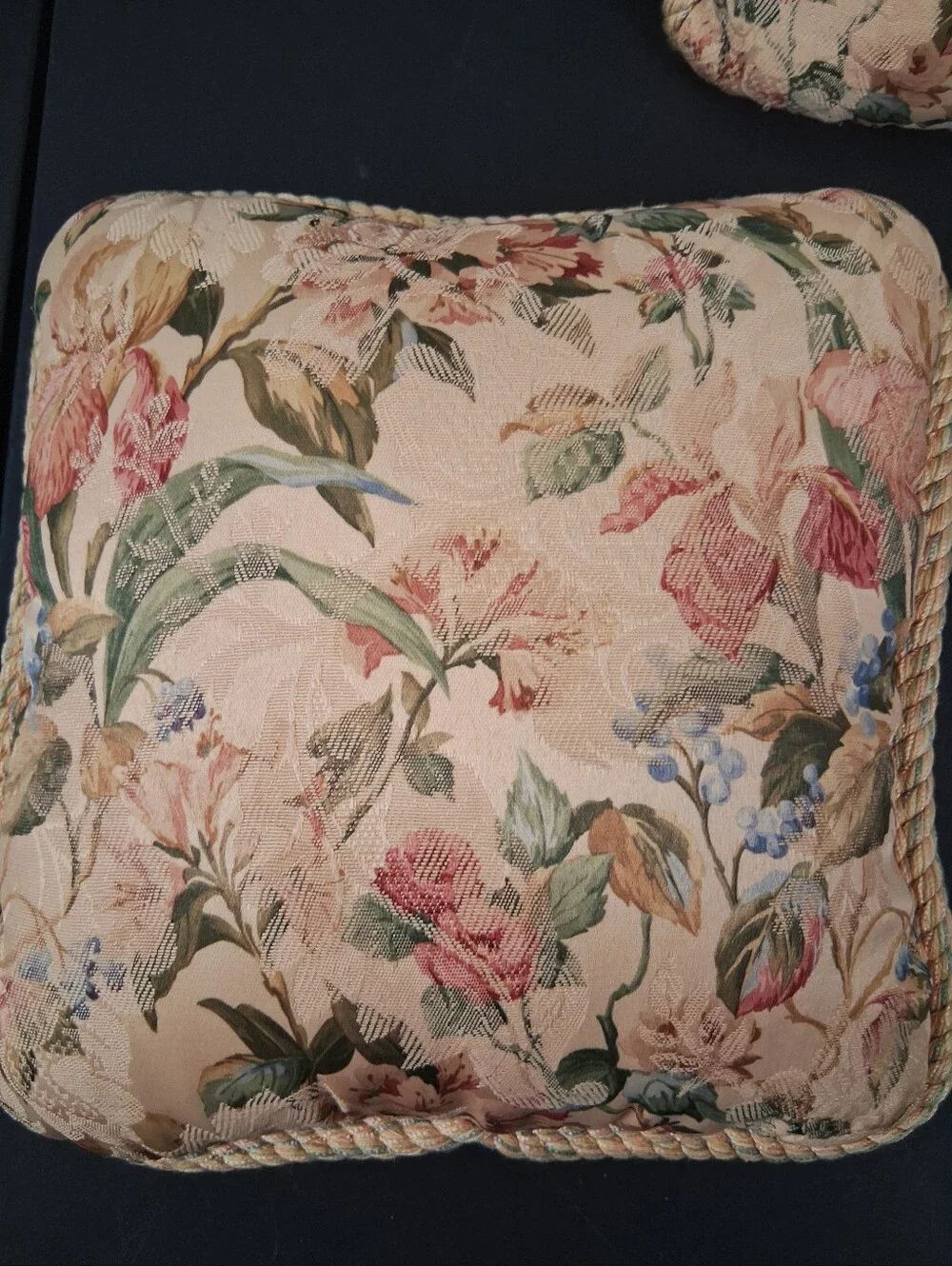 2 Vintage Jacquard Throw Pillows Boho Romantic Cottagecore Cord Trim Brocade